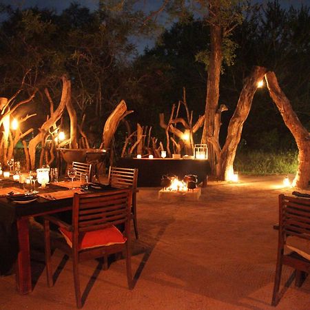 Tintswalo Safari Villa Manyeleti vadrezervátum Kültér fotó